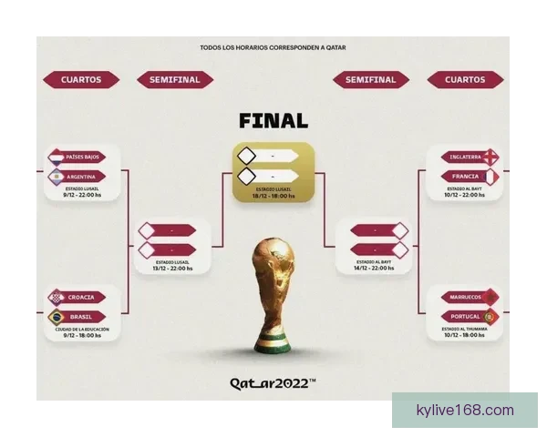 世界杯最新竞猜赔率查询与分析助你精准预测比赛结果